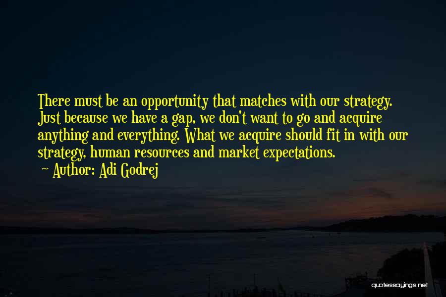 Adi Godrej Quotes: There Must Be An Opportunity That Matches With Our Strategy. Just Because We Have A Gap, We Don't Want To