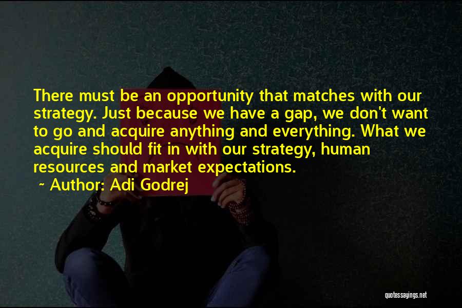 Adi Godrej Quotes: There Must Be An Opportunity That Matches With Our Strategy. Just Because We Have A Gap, We Don't Want To