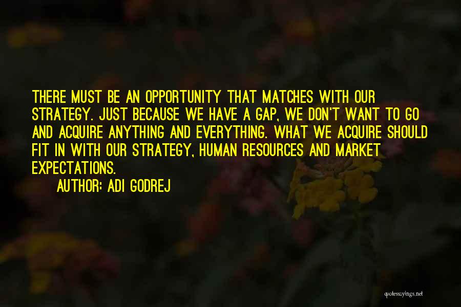 Adi Godrej Quotes: There Must Be An Opportunity That Matches With Our Strategy. Just Because We Have A Gap, We Don't Want To