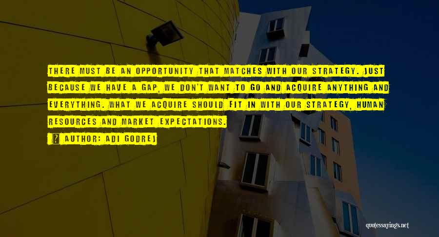 Adi Godrej Quotes: There Must Be An Opportunity That Matches With Our Strategy. Just Because We Have A Gap, We Don't Want To