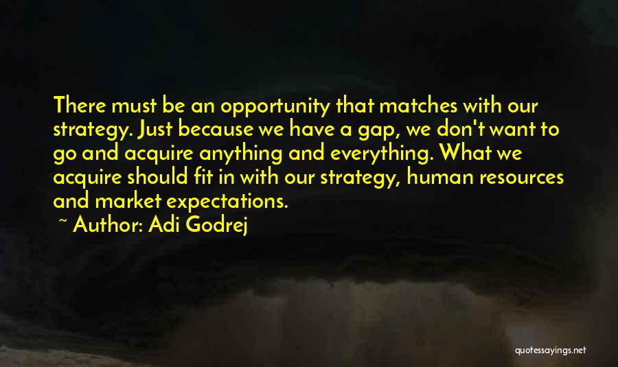 Adi Godrej Quotes: There Must Be An Opportunity That Matches With Our Strategy. Just Because We Have A Gap, We Don't Want To