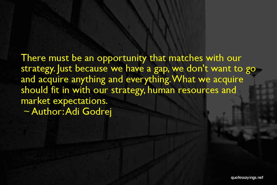 Adi Godrej Quotes: There Must Be An Opportunity That Matches With Our Strategy. Just Because We Have A Gap, We Don't Want To