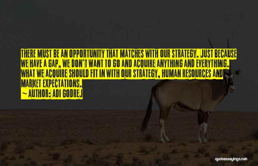 Adi Godrej Quotes: There Must Be An Opportunity That Matches With Our Strategy. Just Because We Have A Gap, We Don't Want To
