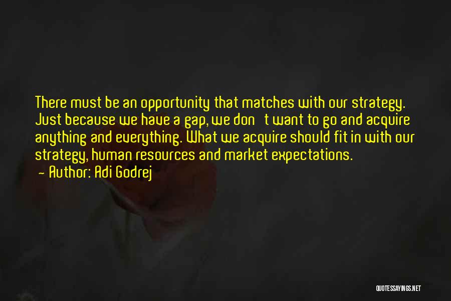 Adi Godrej Quotes: There Must Be An Opportunity That Matches With Our Strategy. Just Because We Have A Gap, We Don't Want To