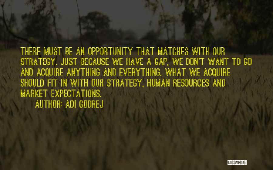 Adi Godrej Quotes: There Must Be An Opportunity That Matches With Our Strategy. Just Because We Have A Gap, We Don't Want To