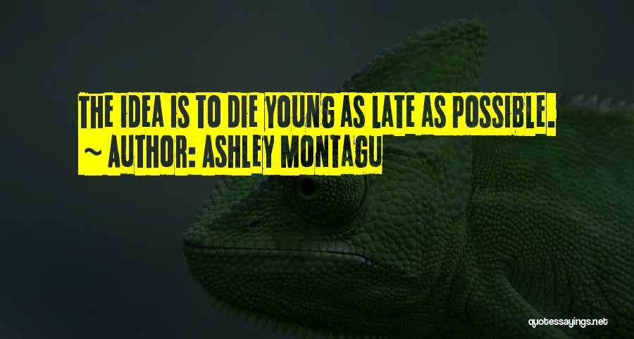 Ashley Montagu Quotes: The Idea Is To Die Young As Late As Possible.