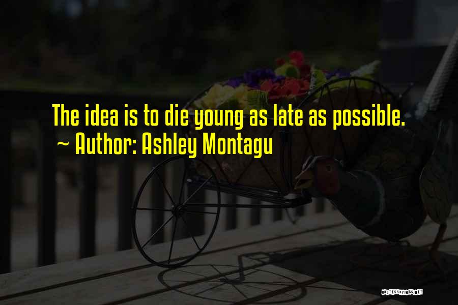 Ashley Montagu Quotes: The Idea Is To Die Young As Late As Possible.