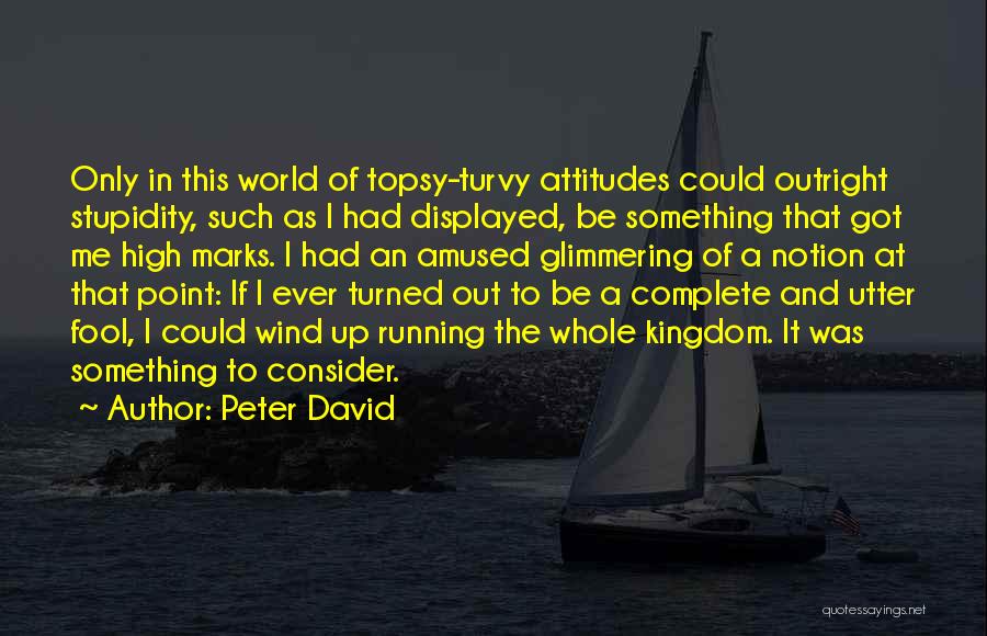 Peter David Quotes: Only In This World Of Topsy-turvy Attitudes Could Outright Stupidity, Such As I Had Displayed, Be Something That Got Me