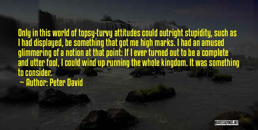 Peter David Quotes: Only In This World Of Topsy-turvy Attitudes Could Outright Stupidity, Such As I Had Displayed, Be Something That Got Me