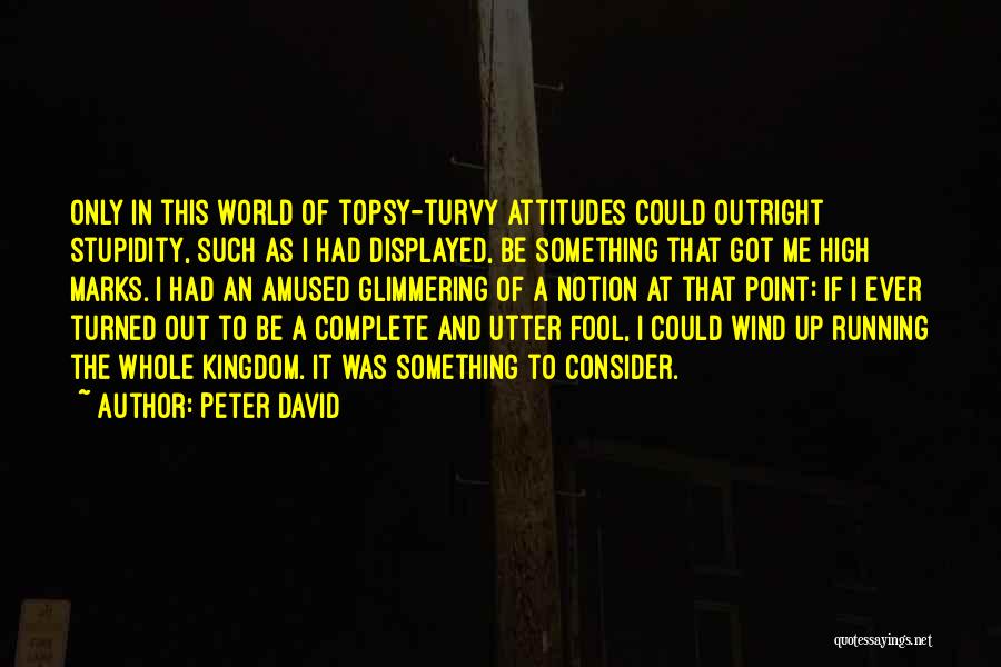 Peter David Quotes: Only In This World Of Topsy-turvy Attitudes Could Outright Stupidity, Such As I Had Displayed, Be Something That Got Me