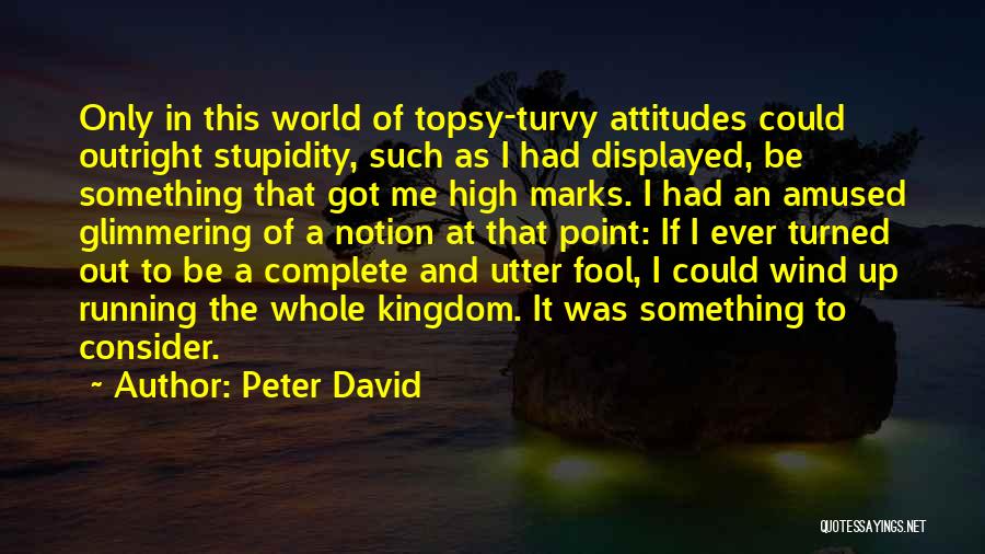 Peter David Quotes: Only In This World Of Topsy-turvy Attitudes Could Outright Stupidity, Such As I Had Displayed, Be Something That Got Me