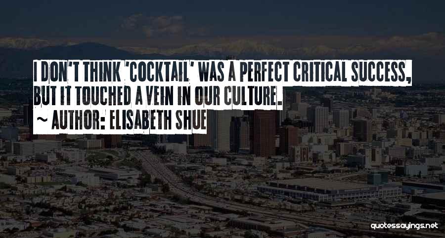 Elisabeth Shue Quotes: I Don't Think 'cocktail' Was A Perfect Critical Success, But It Touched A Vein In Our Culture.