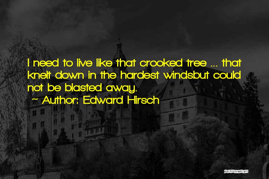 Edward Hirsch Quotes: I Need To Live Like That Crooked Tree ... That Knelt Down In The Hardest Windsbut Could Not Be Blasted