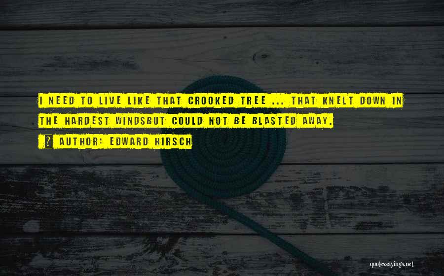 Edward Hirsch Quotes: I Need To Live Like That Crooked Tree ... That Knelt Down In The Hardest Windsbut Could Not Be Blasted