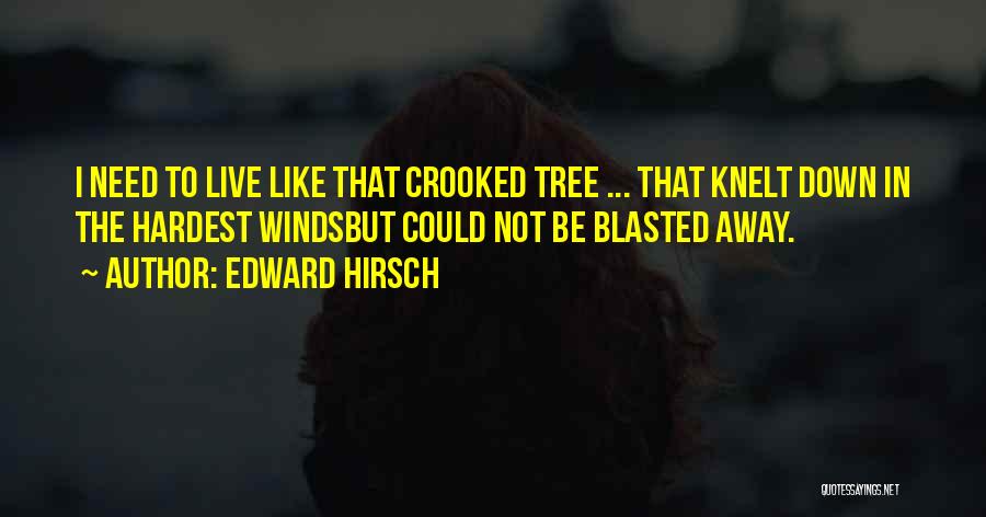 Edward Hirsch Quotes: I Need To Live Like That Crooked Tree ... That Knelt Down In The Hardest Windsbut Could Not Be Blasted