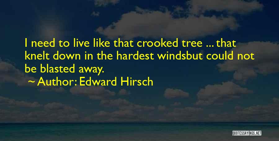 Edward Hirsch Quotes: I Need To Live Like That Crooked Tree ... That Knelt Down In The Hardest Windsbut Could Not Be Blasted