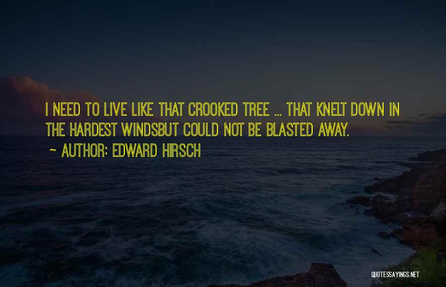 Edward Hirsch Quotes: I Need To Live Like That Crooked Tree ... That Knelt Down In The Hardest Windsbut Could Not Be Blasted