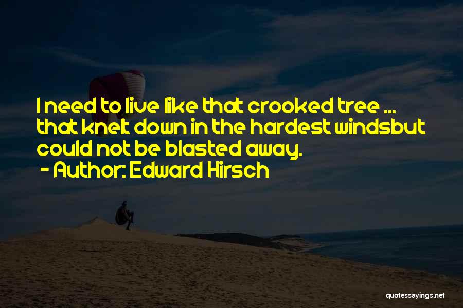 Edward Hirsch Quotes: I Need To Live Like That Crooked Tree ... That Knelt Down In The Hardest Windsbut Could Not Be Blasted