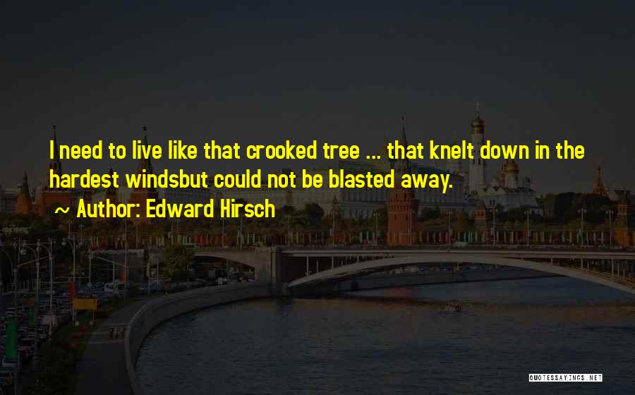 Edward Hirsch Quotes: I Need To Live Like That Crooked Tree ... That Knelt Down In The Hardest Windsbut Could Not Be Blasted