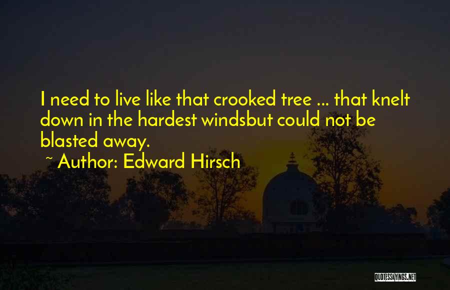 Edward Hirsch Quotes: I Need To Live Like That Crooked Tree ... That Knelt Down In The Hardest Windsbut Could Not Be Blasted