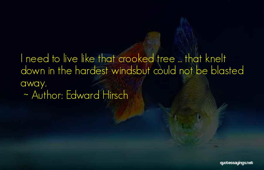 Edward Hirsch Quotes: I Need To Live Like That Crooked Tree ... That Knelt Down In The Hardest Windsbut Could Not Be Blasted