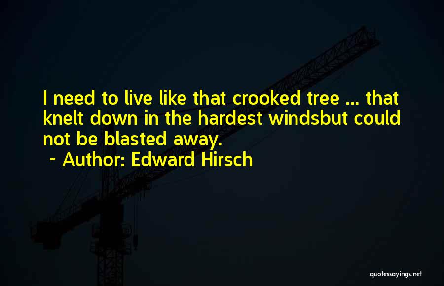 Edward Hirsch Quotes: I Need To Live Like That Crooked Tree ... That Knelt Down In The Hardest Windsbut Could Not Be Blasted