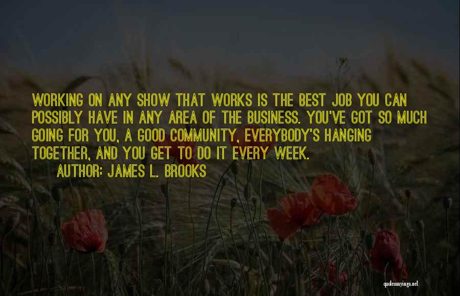 James L. Brooks Quotes: Working On Any Show That Works Is The Best Job You Can Possibly Have In Any Area Of The Business.