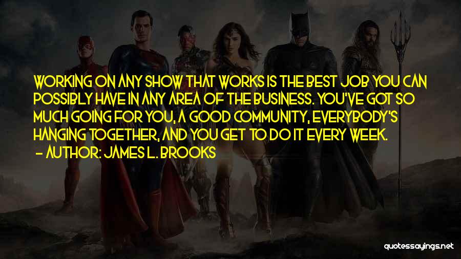 James L. Brooks Quotes: Working On Any Show That Works Is The Best Job You Can Possibly Have In Any Area Of The Business.