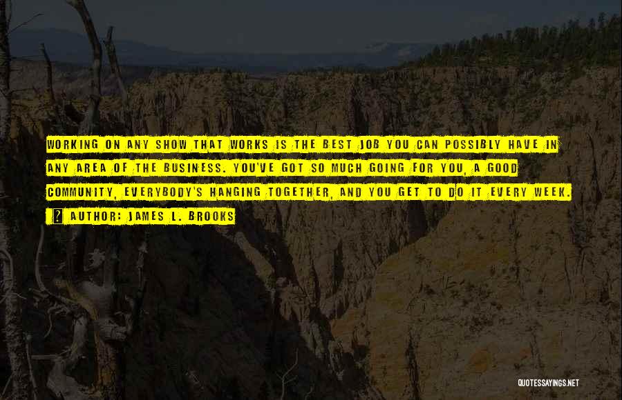 James L. Brooks Quotes: Working On Any Show That Works Is The Best Job You Can Possibly Have In Any Area Of The Business.