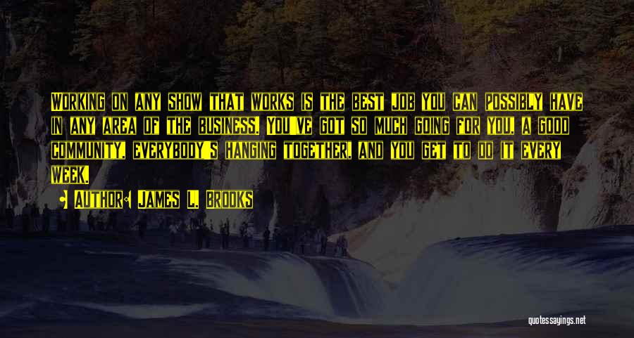 James L. Brooks Quotes: Working On Any Show That Works Is The Best Job You Can Possibly Have In Any Area Of The Business.