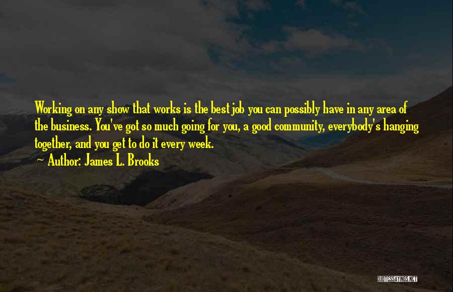 James L. Brooks Quotes: Working On Any Show That Works Is The Best Job You Can Possibly Have In Any Area Of The Business.