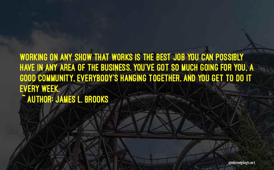 James L. Brooks Quotes: Working On Any Show That Works Is The Best Job You Can Possibly Have In Any Area Of The Business.