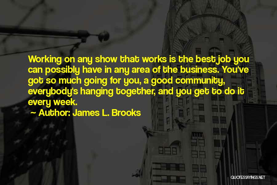 James L. Brooks Quotes: Working On Any Show That Works Is The Best Job You Can Possibly Have In Any Area Of The Business.