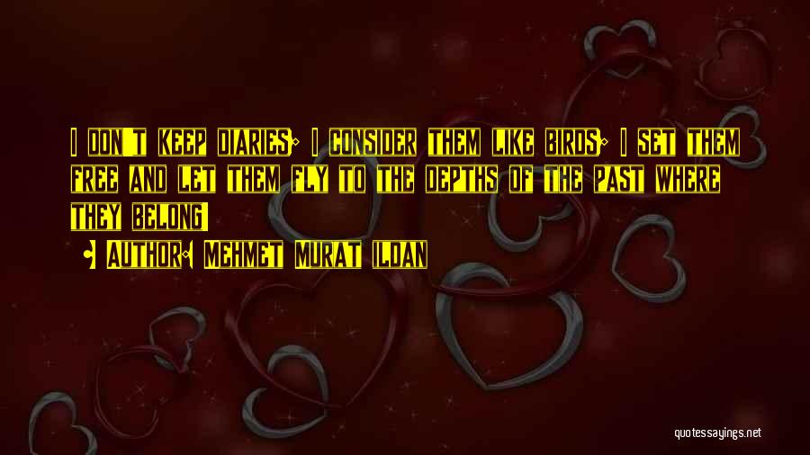 Mehmet Murat Ildan Quotes: I Don't Keep Diaries; I Consider Them Like Birds; I Set Them Free And Let Them Fly To The Depths