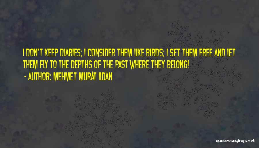 Mehmet Murat Ildan Quotes: I Don't Keep Diaries; I Consider Them Like Birds; I Set Them Free And Let Them Fly To The Depths