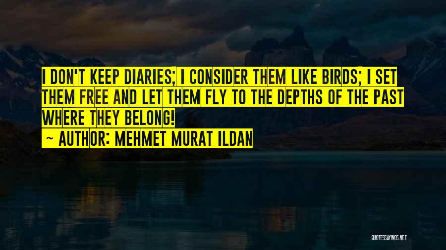Mehmet Murat Ildan Quotes: I Don't Keep Diaries; I Consider Them Like Birds; I Set Them Free And Let Them Fly To The Depths