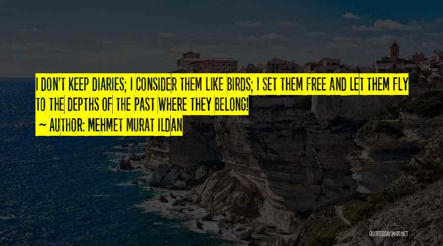 Mehmet Murat Ildan Quotes: I Don't Keep Diaries; I Consider Them Like Birds; I Set Them Free And Let Them Fly To The Depths