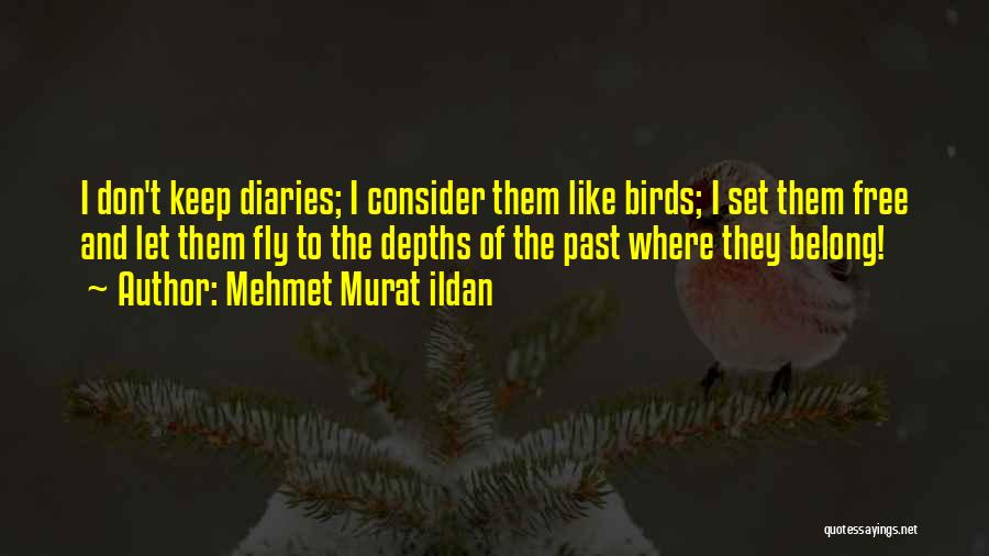 Mehmet Murat Ildan Quotes: I Don't Keep Diaries; I Consider Them Like Birds; I Set Them Free And Let Them Fly To The Depths