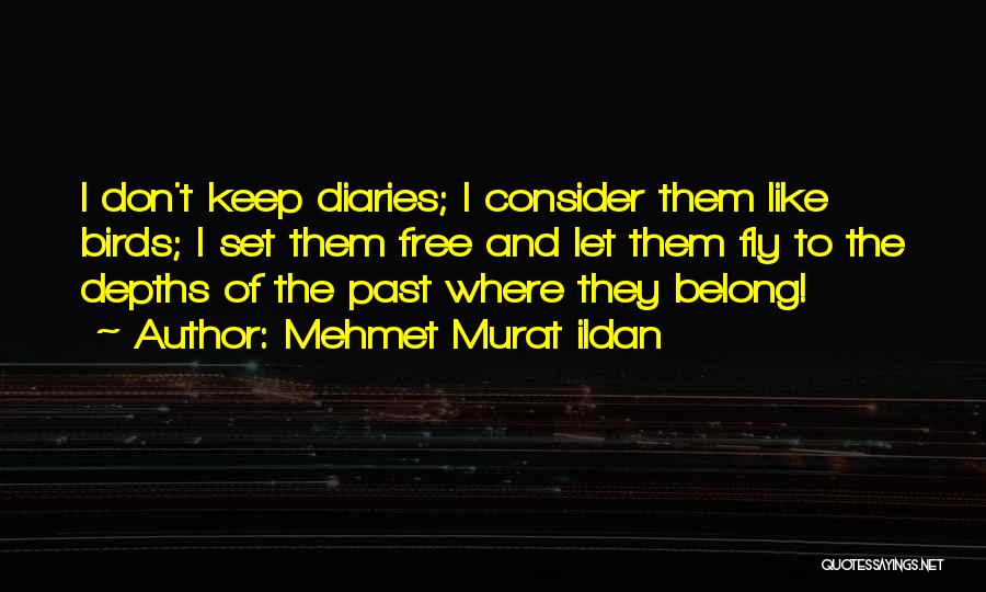 Mehmet Murat Ildan Quotes: I Don't Keep Diaries; I Consider Them Like Birds; I Set Them Free And Let Them Fly To The Depths