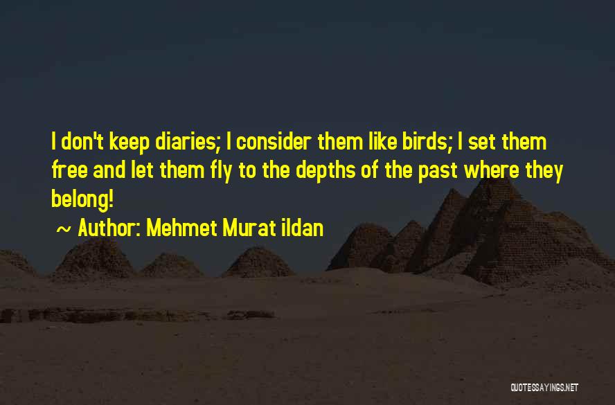 Mehmet Murat Ildan Quotes: I Don't Keep Diaries; I Consider Them Like Birds; I Set Them Free And Let Them Fly To The Depths