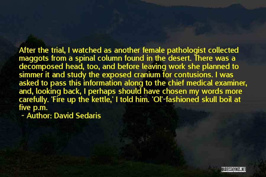 David Sedaris Quotes: After The Trial, I Watched As Another Female Pathologist Collected Maggots From A Spinal Column Found In The Desert. There