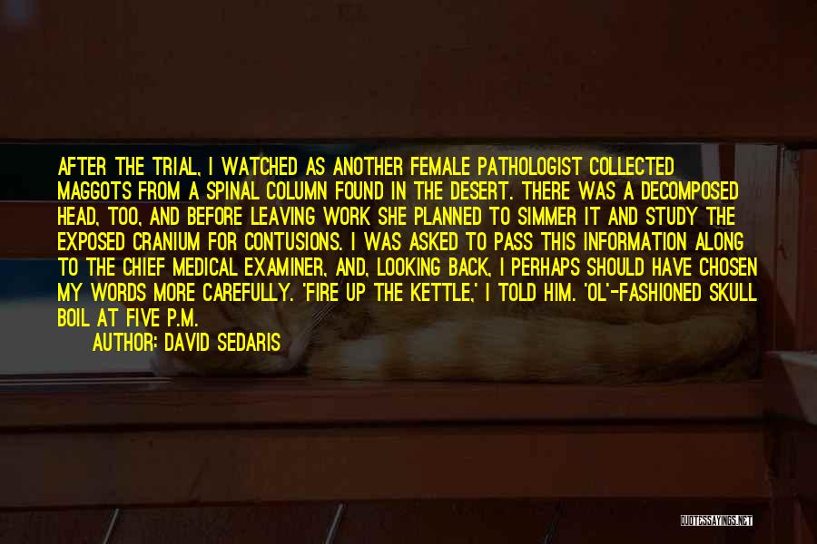 David Sedaris Quotes: After The Trial, I Watched As Another Female Pathologist Collected Maggots From A Spinal Column Found In The Desert. There