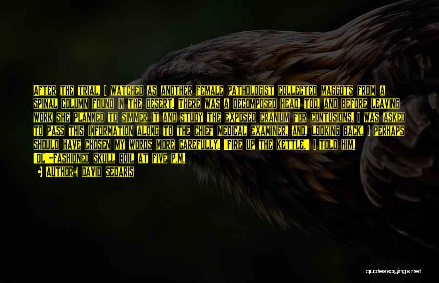 David Sedaris Quotes: After The Trial, I Watched As Another Female Pathologist Collected Maggots From A Spinal Column Found In The Desert. There