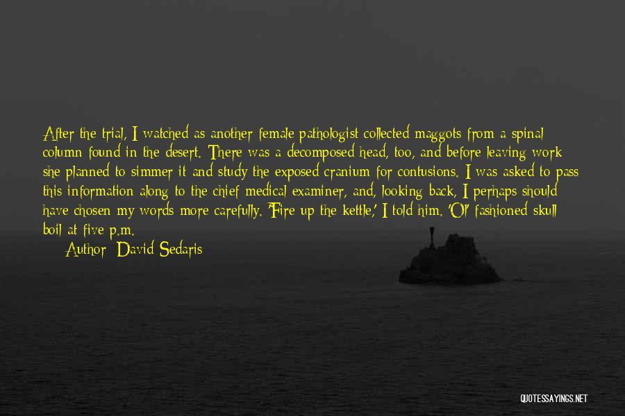 David Sedaris Quotes: After The Trial, I Watched As Another Female Pathologist Collected Maggots From A Spinal Column Found In The Desert. There