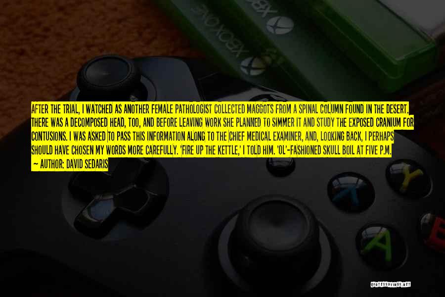 David Sedaris Quotes: After The Trial, I Watched As Another Female Pathologist Collected Maggots From A Spinal Column Found In The Desert. There