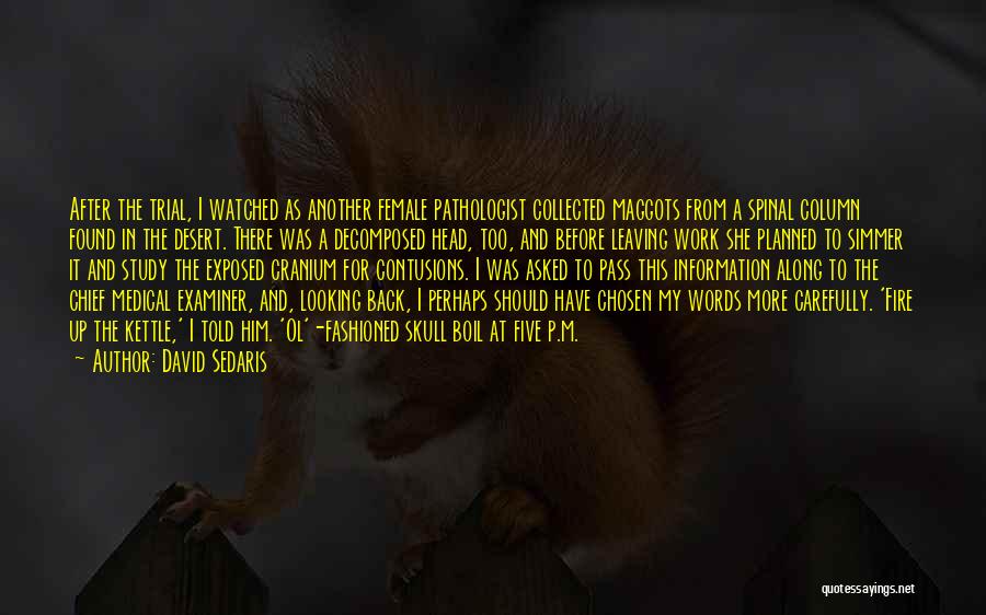 David Sedaris Quotes: After The Trial, I Watched As Another Female Pathologist Collected Maggots From A Spinal Column Found In The Desert. There