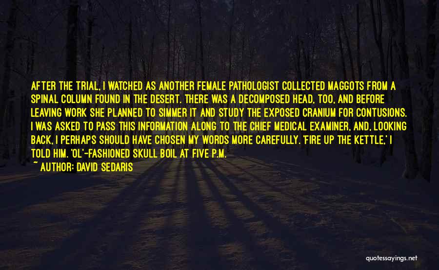 David Sedaris Quotes: After The Trial, I Watched As Another Female Pathologist Collected Maggots From A Spinal Column Found In The Desert. There