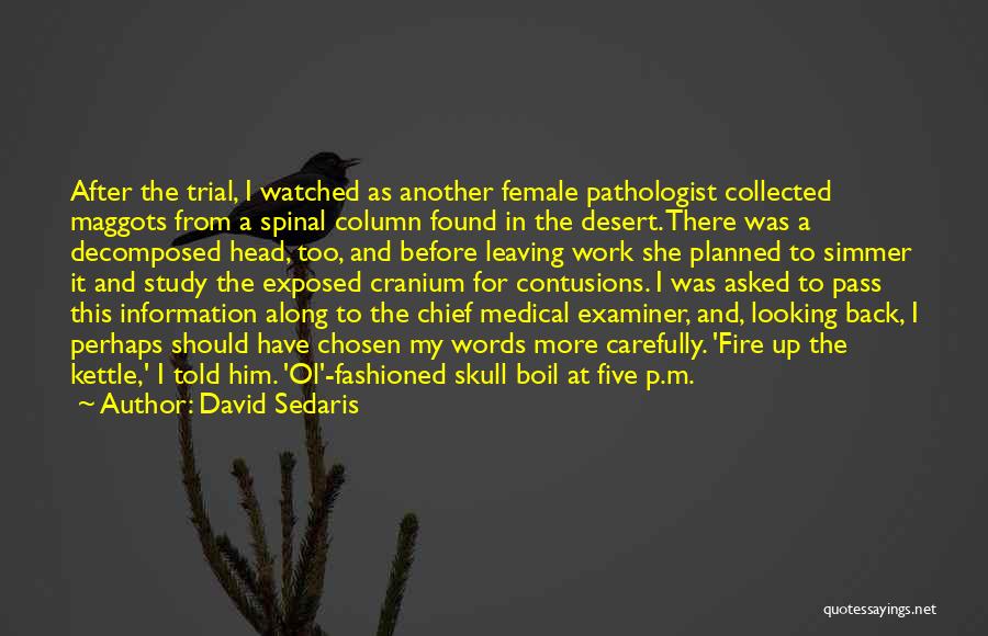 David Sedaris Quotes: After The Trial, I Watched As Another Female Pathologist Collected Maggots From A Spinal Column Found In The Desert. There