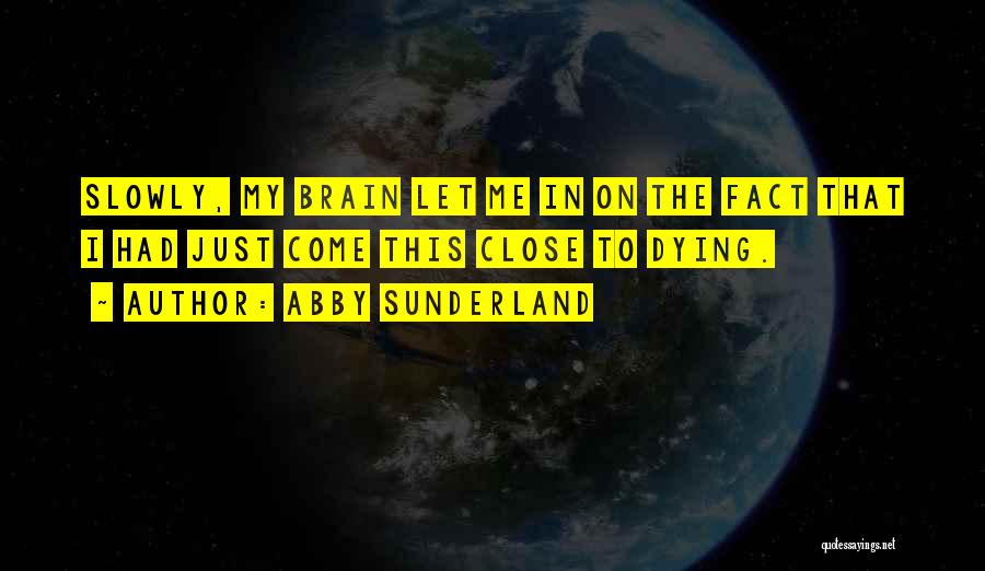 Abby Sunderland Quotes: Slowly, My Brain Let Me In On The Fact That I Had Just Come This Close To Dying.