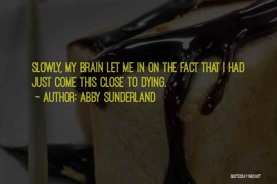 Abby Sunderland Quotes: Slowly, My Brain Let Me In On The Fact That I Had Just Come This Close To Dying.